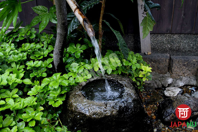 Rượu Sake Shochikubai Kyoto Junmai Nhật Bản ủ từ nguồn nước ngầm tinh khiết