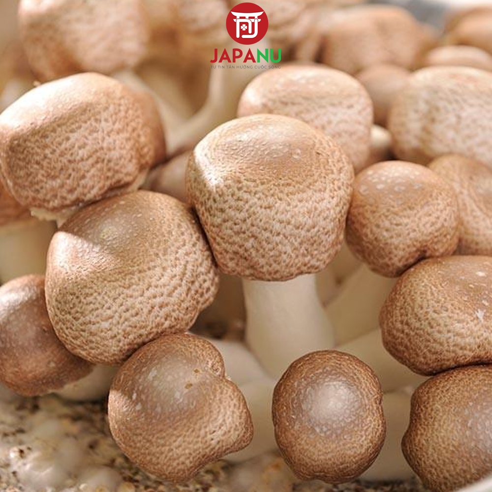 Viên Uống King Fucoidan & Agaricus Nhật Bản chứa nấm Agaricus