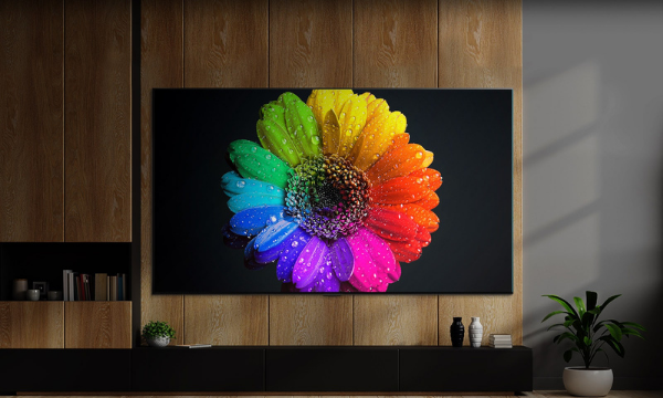 Smart Tivi QNED LG 4K 55 inch 55QNED80SQA