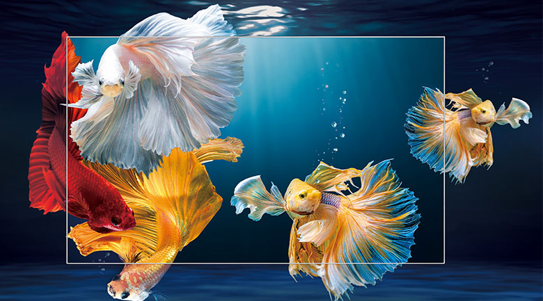 Android Tivi QLED TCL 4K 50 inch 50Q726 MỚI 2025