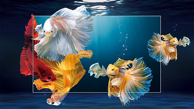 Android Tivi TCL 4K 65 inch 65T65 Mới 2025