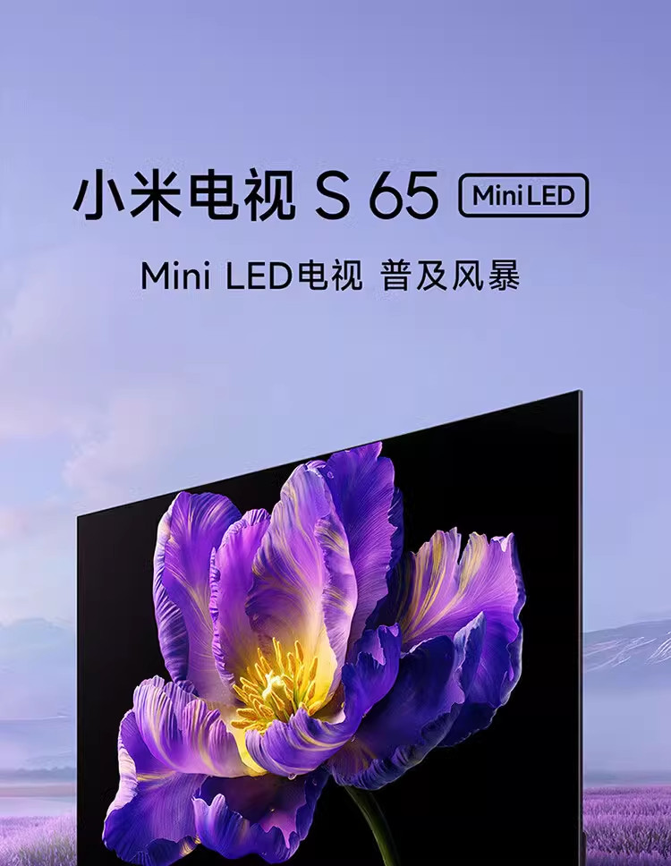 S65 Mini LED