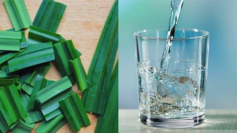 Cắt lá dứa thành từng khúc và giã nát, hòa với nước