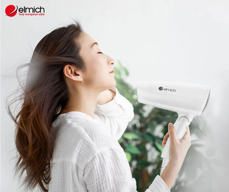 Hình 7: Elmich – địa chỉ cung cấp máy sấy chất lượng