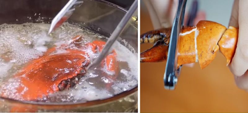 Ảnh 6: Cho ngập nước và luộc chín cua, sau đó gỡ thịt cua