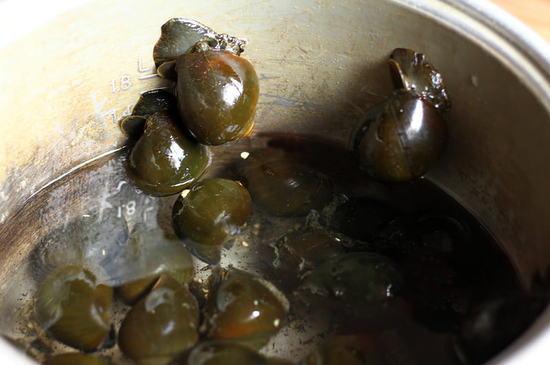 📷Ngâm ốc với nước để loại bỏ được nhớt, chất bẩn