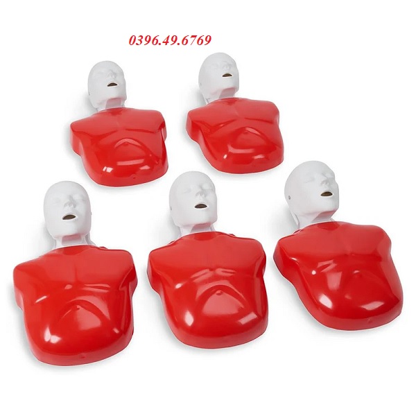 BỘ 5 MÔ HÌNH HỒI SỨC TIM PHỔI CPR LF03694 NASCO