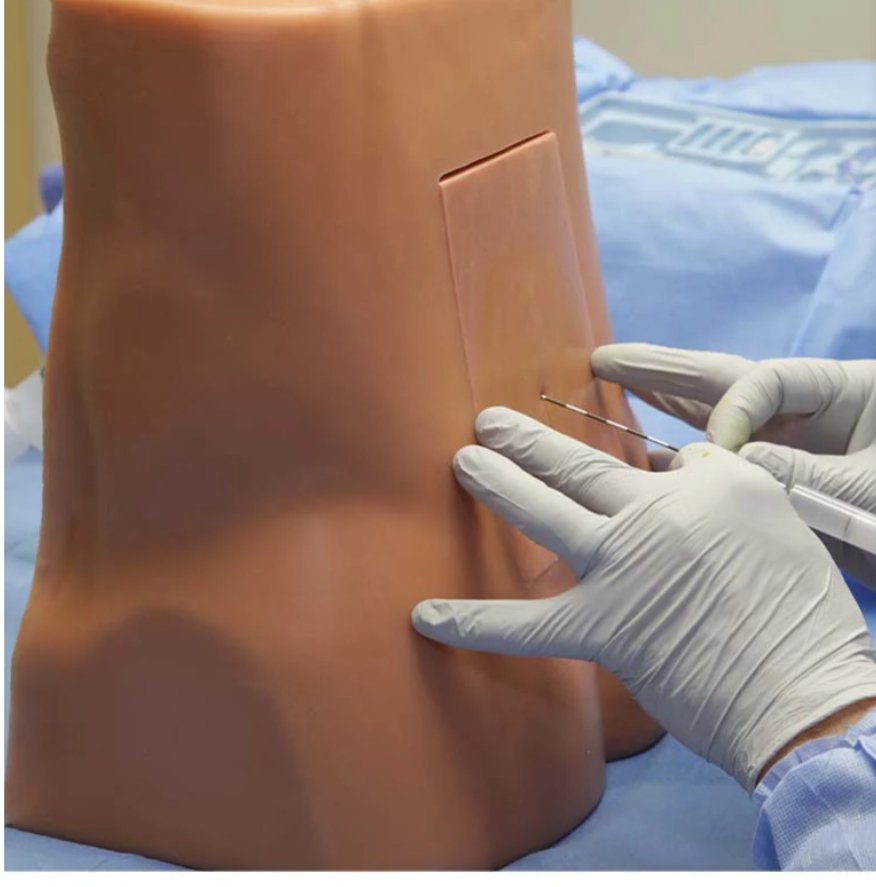 Mô hình thực hành gây tê ngoài màng cứng