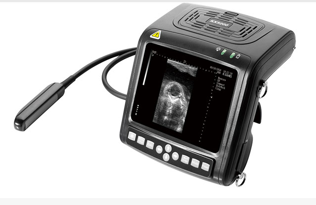 Máy siêu âm thú y KX5200
