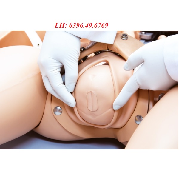MÔ HÌNH BÀ MẸ TRẺ EM R17800 ERLER ZIMMER