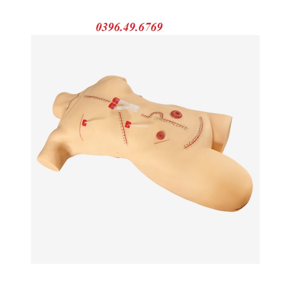 MÔ HÌNH BĂNG BÓ VẾT THƯƠNG THAY BĂNG CẮT CHỈ GD/LV18