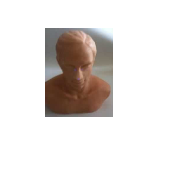 Mô hình đào tạo châm cứu đầu có đèn