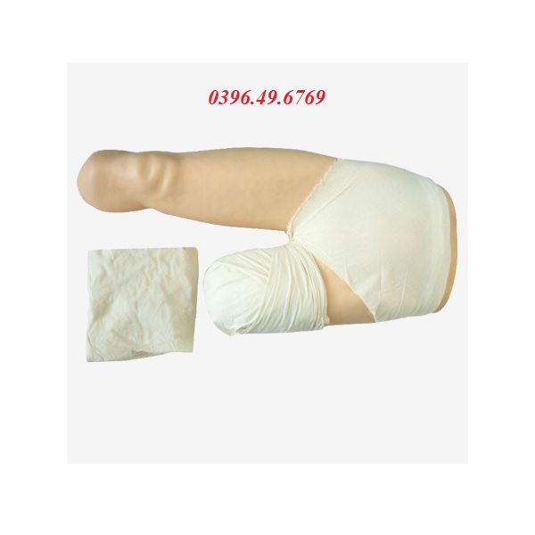 MÔ HÌNH CHĂM SÓC MỎM CỤT CHI DƯỚI MODEL GD/LV12