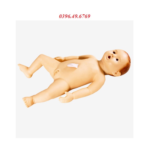 Mô hình chăm sóc trẻ sơ sinh và cho con bú GD/FT13