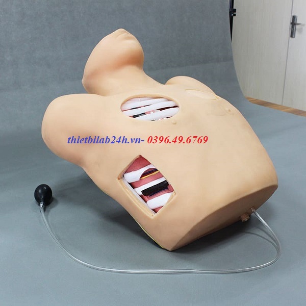 Mô hình chọc dịch dẫn lưu màng phổi GD/L67