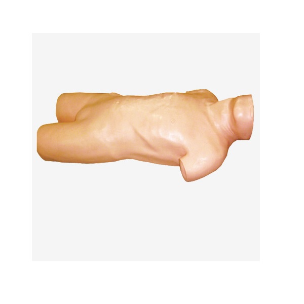 MÔ HÌNH CHỌC DỊCH MÀNG BỤNG GD/L261