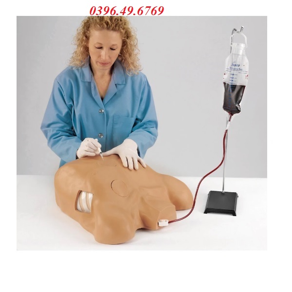 MÔ HÌNH CHỌC DỊCH NGOÀI MÀNG TIM, CHỌC DÒ MÀNG PHỔI, TRÀN KHÍ MÀNG PHỔI LF03769