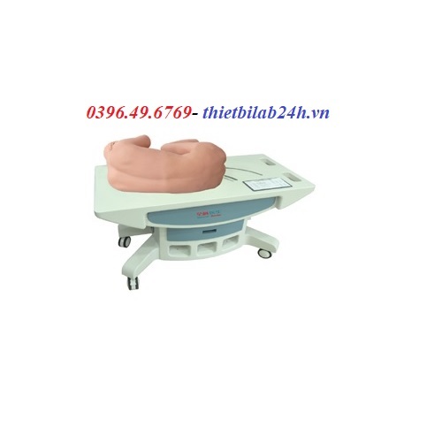 MÔ HÌNH CHỌC DÒ TỦY SỐNG NÂNG CAO GD/L260C