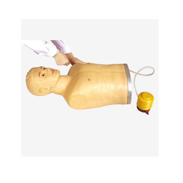 MÔ HÌNH CHỌC HÚT DỊCH MÀNG PHỔI GD/L66