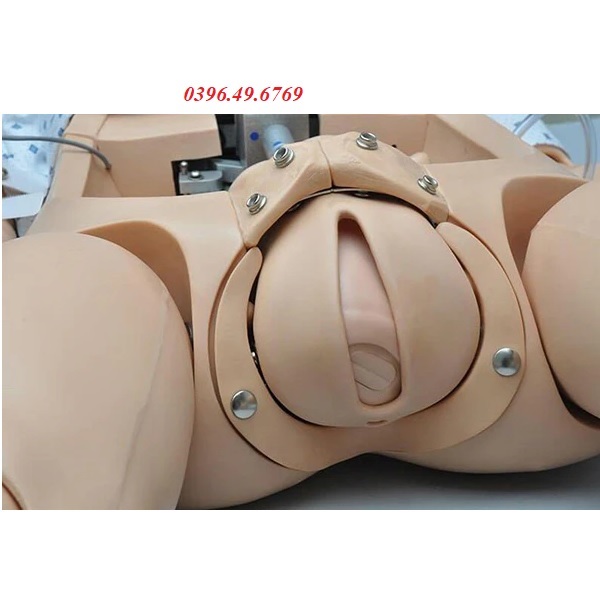 Mô hình chuyển dạ đỡ đẻ S551