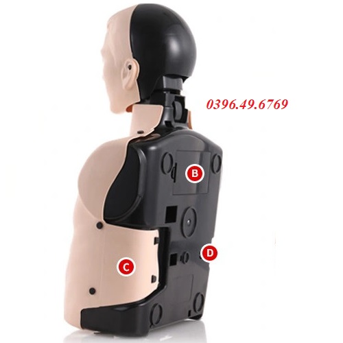 MÔ HÌNH HUẤN LUYỆN CPR NURUGO HÀN QUỐC