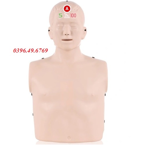 MÔ HÌNH ĐÀO TẠO HỒI SINH TIM PHỔI NURUGO L330