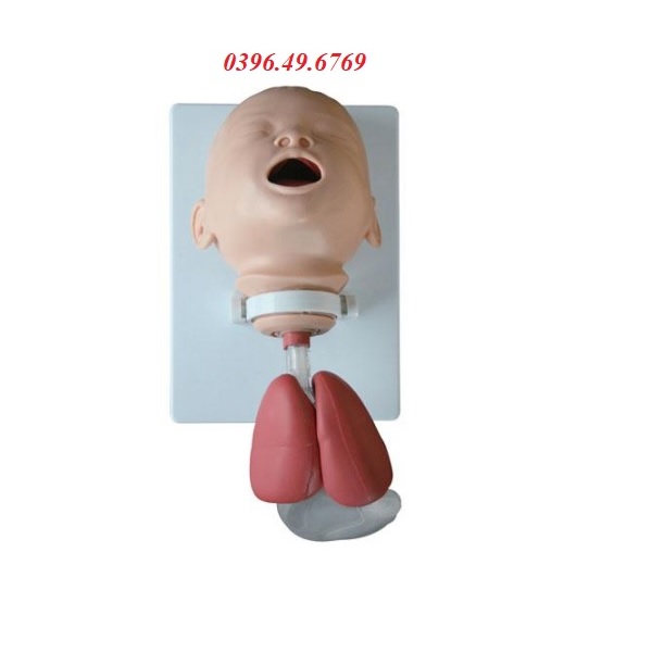 MÔ HÌNH ĐẶT ỐNG NỘI KHÍ QUẢN TRẺ SƠ SINH TRẺ EM