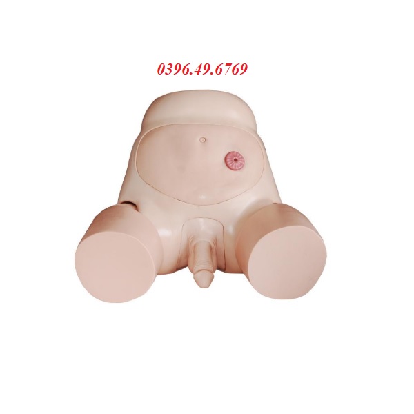 MÔ HÌNH ĐẶT SONDE THÔNG TIỂU NAM