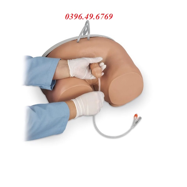 Mô hình đặt sonde tiểu nam LF00855U cao cấp