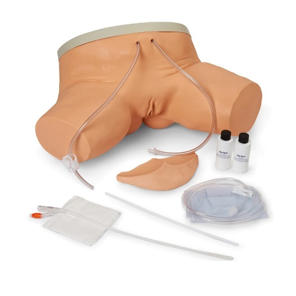 Mô hình đặt sonde tiểu nữ LF00856U