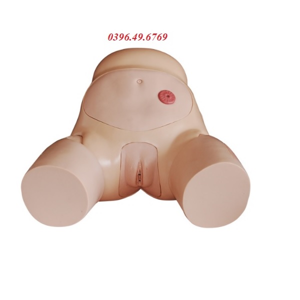 MÔ HÌNH ĐẶT SONDE TIỂU NỮ- THÔNG TIỂU NỮ