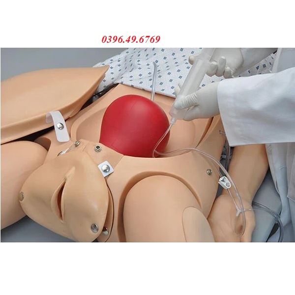 Mô hình đỡ đẻ khám sau sinh S551 Gaumard