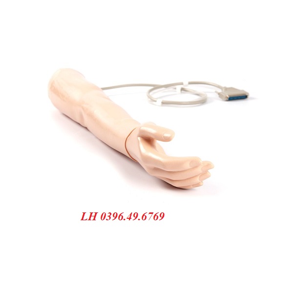 MÔ HÌNH THỰC HÀNH ĐO HUYẾT ÁP CÁNH TAY LAERDAL 375-40501
