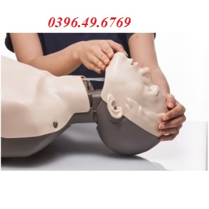 Mô hình huấn luyện CPR Brayden