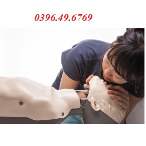 Mô hình huấn luyện CPR Brayden