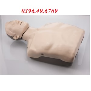 Mô hình huấn luyện CPR Brayden
