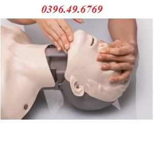 Mô hình huấn luyện CPR Brayden