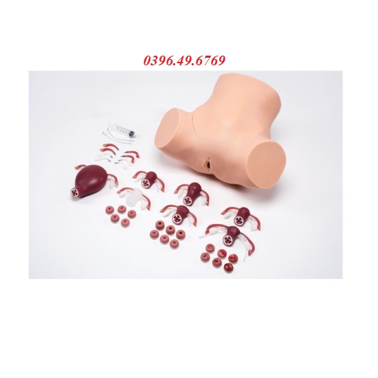 MÔ HÌNH KHÁM SẢN PHỤ KHOA- THỰC HÀNH HÚT THAI MODEL S504.200 GAUMARD