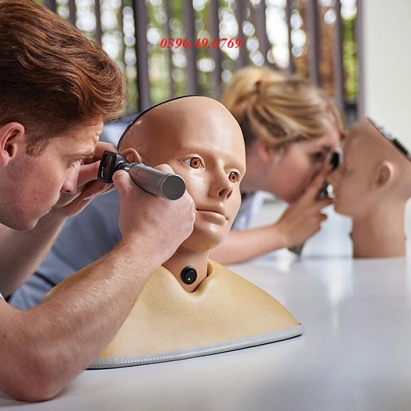 MÔ HÌNH KHÁM TAI VÀ MẮT KỸ THUẬT SỐ AR405 ADAM ROULLY- ANH