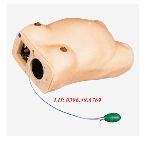 MÔ HÌNH KHÁM THAI GD/FW2