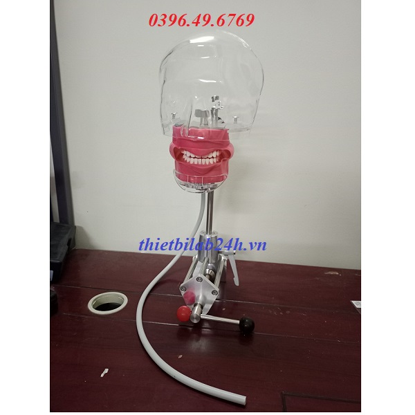 MÔ HÌNH PHANTOM THỰC HÀNH NHA KHOA