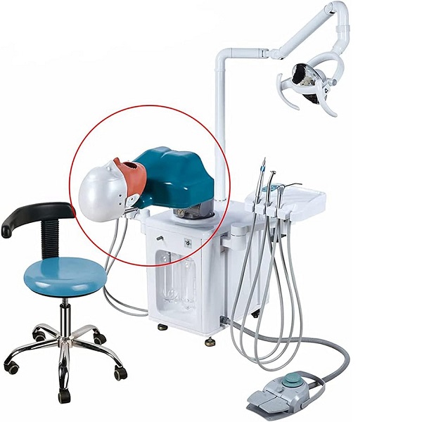 Mô hình Phan Tôm Nha khoa