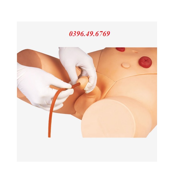 MÔ HÌNH ĐẶT THÔNG TIỂU NAM MODEL GD/H17E