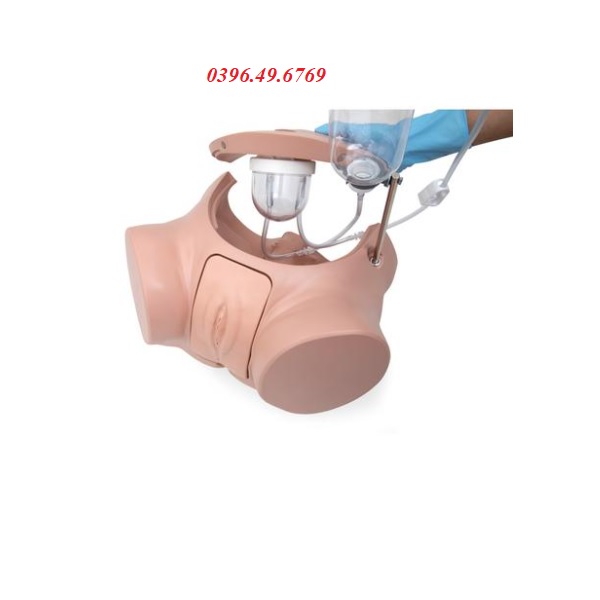 MÔ HÌNH THÔNG TIỂU NỮ P93SPC-F 3B SCIENTIFIC