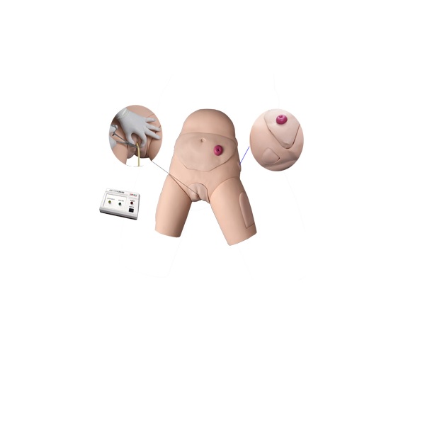 MÔ HÌNH THỰC HÀNH THÔNG TIỂU VÀ THỤT RỬA ĐẠI TRÀNG GD/H27