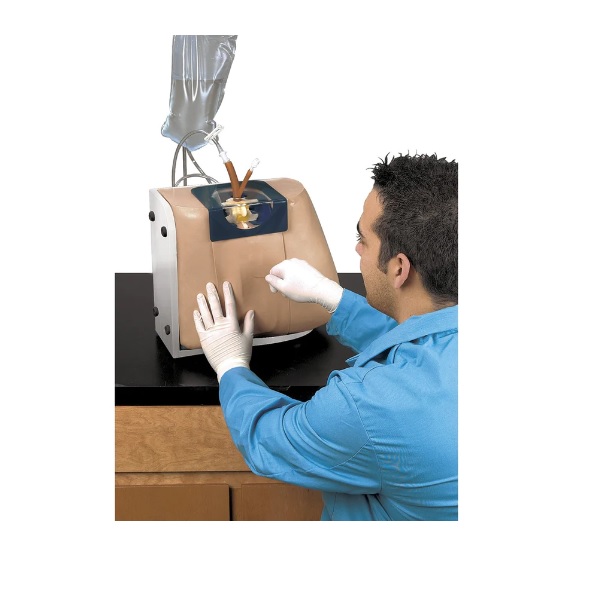 MÔ HÌNH THỰC HÀNH CHỌC DÒ TỦY SỐNG LF01036U NASCO MỸ