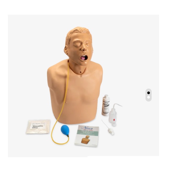 MÔ HÌNH ĐẶT SONDE DẠ DÀY LF01174U