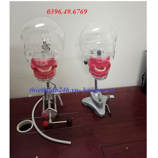 MÔ HÌNH THỰC HÀNH NHA KHOA