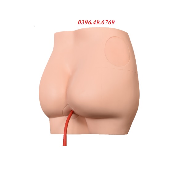 MÔ HÌNH THỰC HÀNH TIÊM MÔNG GIÁ RẺ