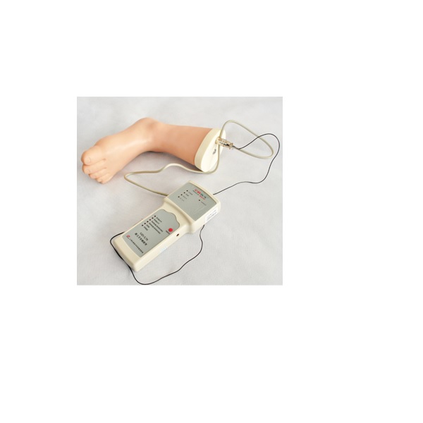 Mô hình tiêm nội khớp cổ chân GD/L78